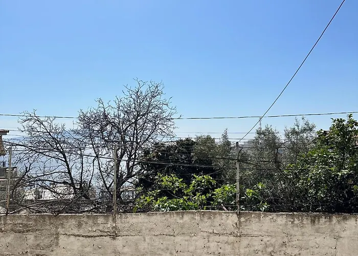 Marta - Summer Breeze *